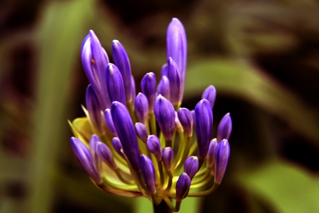 天空：埃弗顿考虑冬窗引进中锋，有意齐尔克泽和伊万-托尼